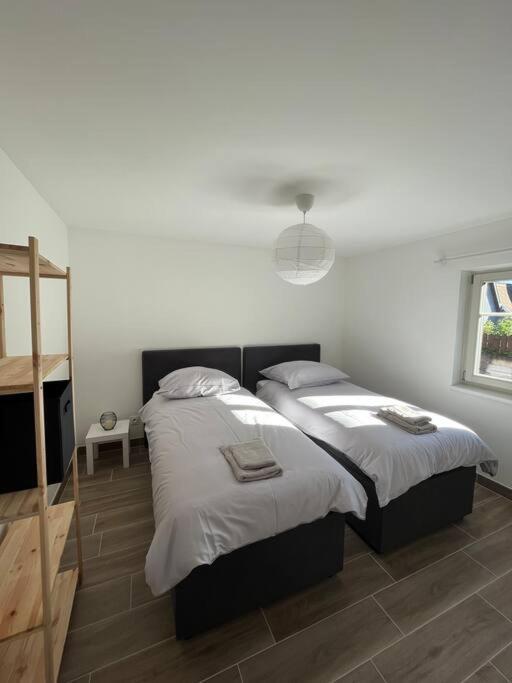 Ferienwohnung Doux Refuge Avec Terrasse Parking Gratuit Beblenheim Exterior foto