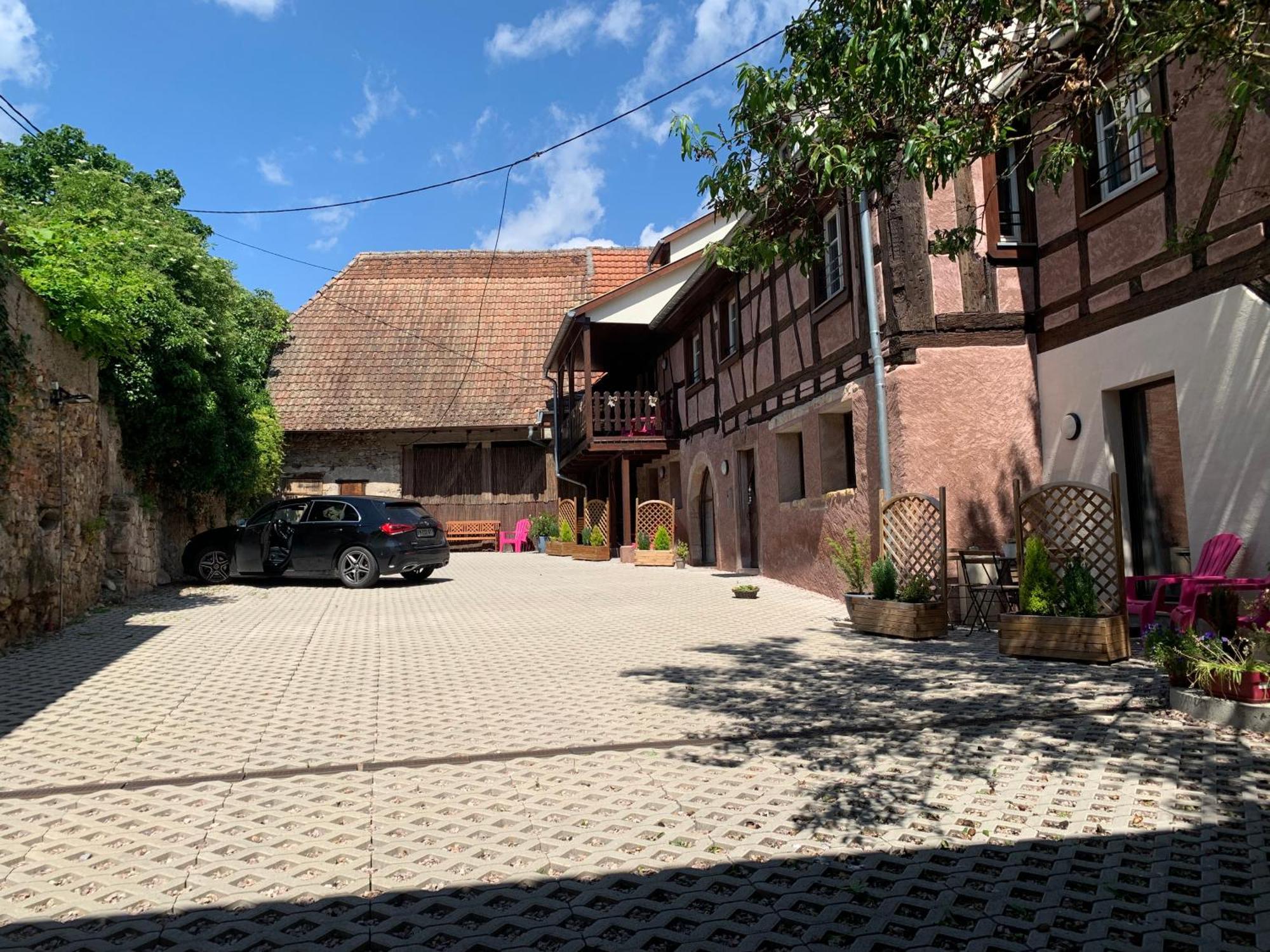 Ferienwohnung Doux Refuge Avec Terrasse Parking Gratuit Beblenheim Exterior foto